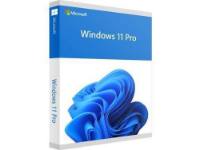 Microsoft Windows 11 Pro 64-bit - Box Pack - 1 License - Flash Drive - International English - PC